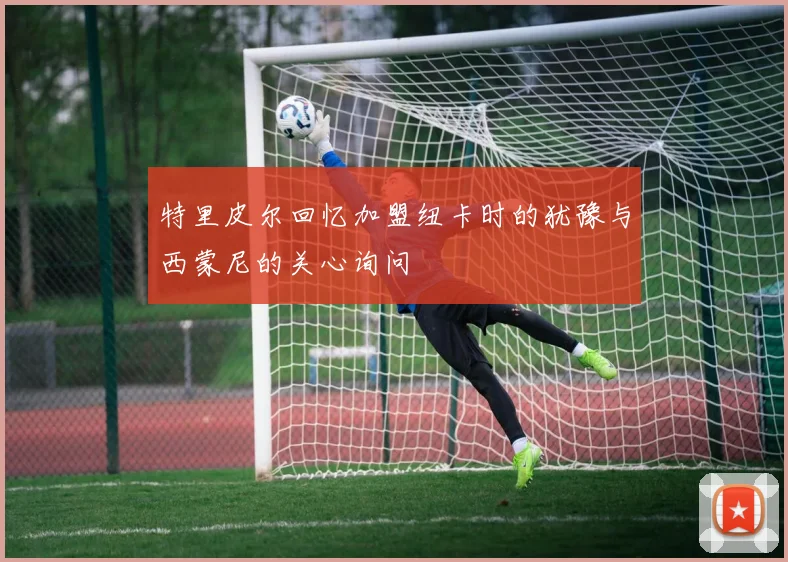 特里皮尔回忆加盟纽卡时的犹豫与西蒙尼的关心询问
